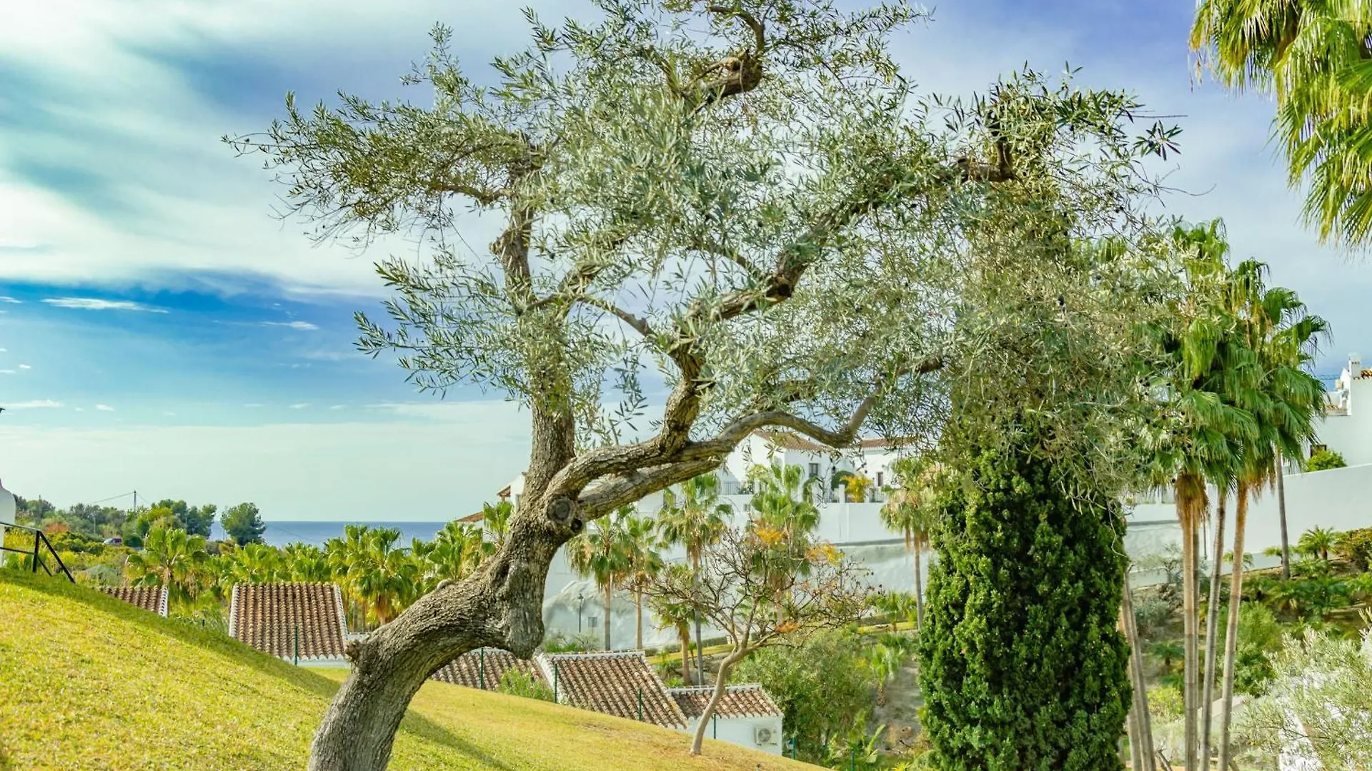 Rabat 2 Oasis Properties Nerja