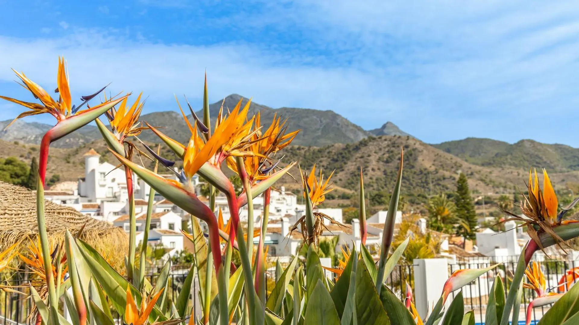 Apartment Rabat 2 Oasis Properties Nerja