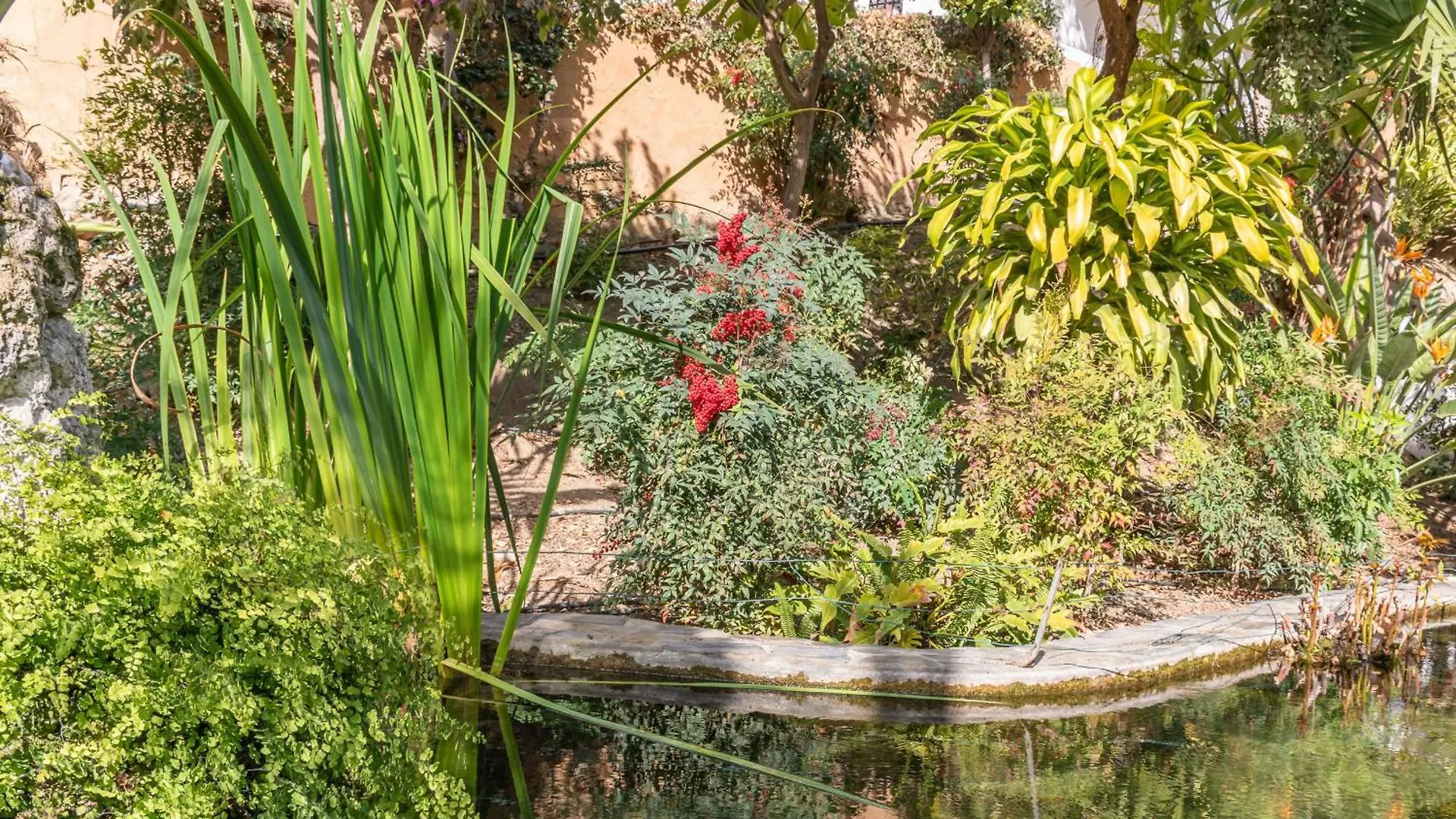 Rabat 2 Oasis Properties Nerja Apartment