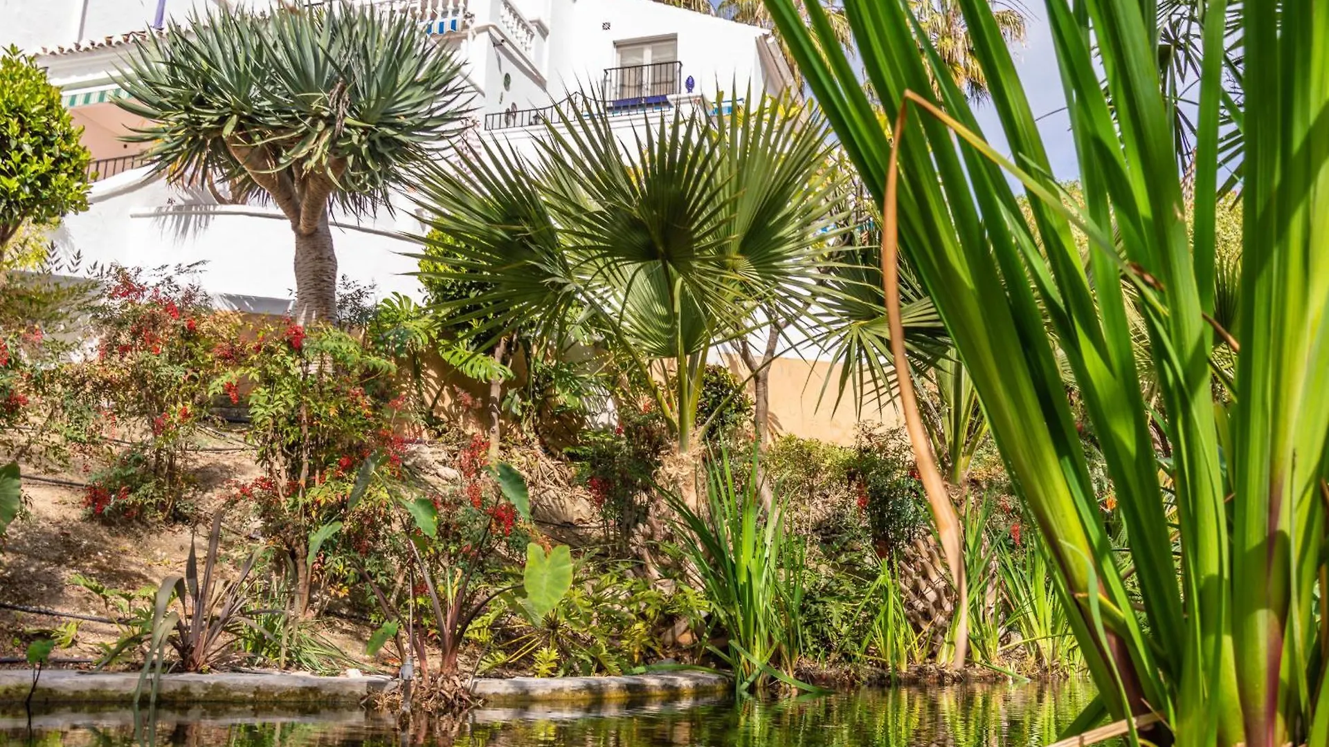 Apartment Rabat 2 Oasis Properties Nerja